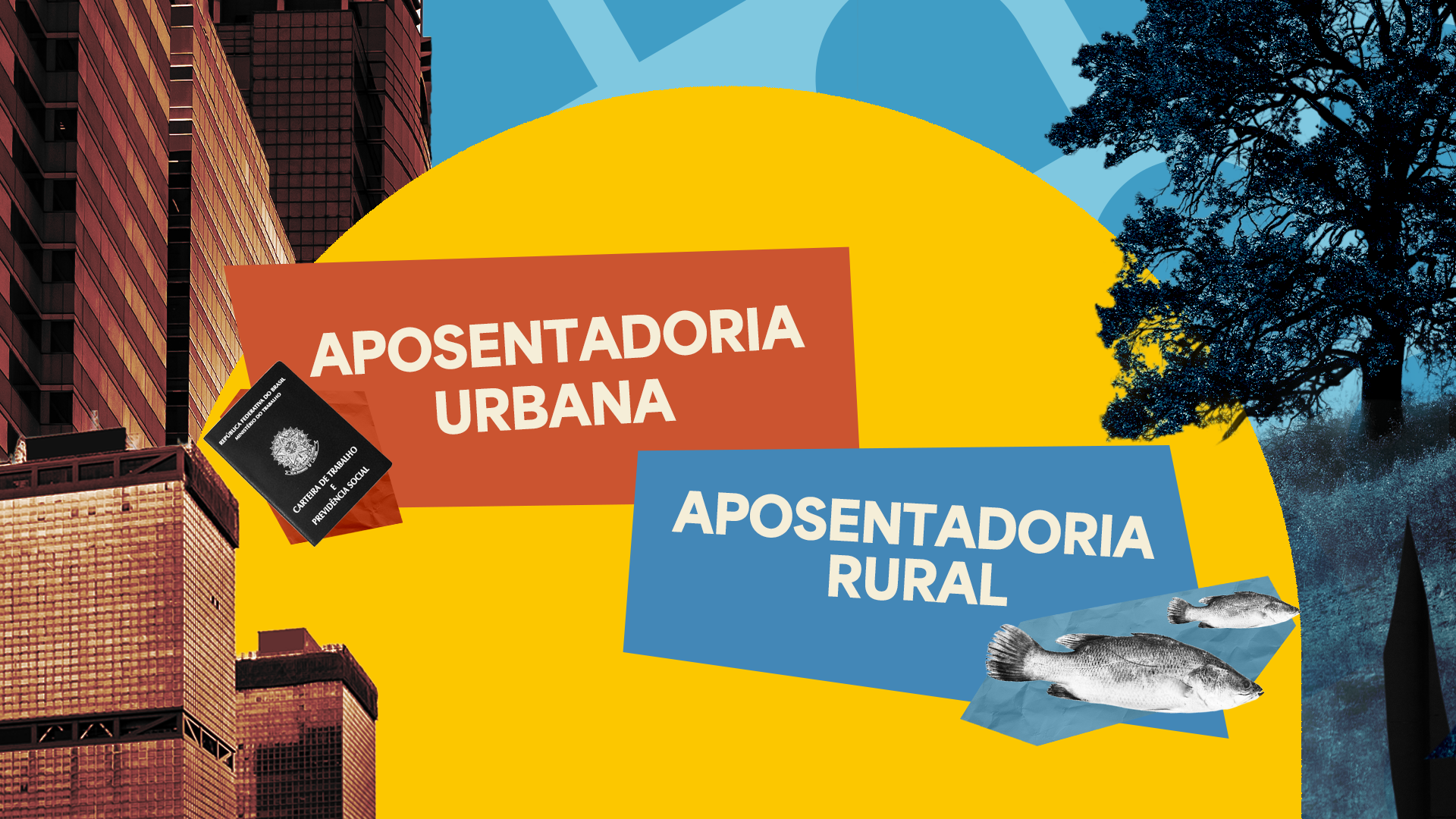 Qual a diferença entre Aposentadoria Rural e a Aposentadoria Urbana?